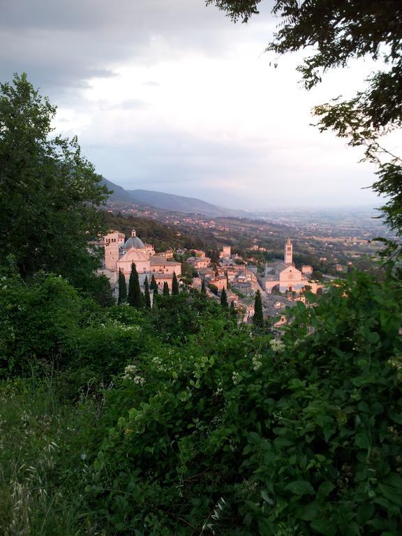 La Corte Degli Angeli Locazioni Turistiche Assisi Kültér fotó